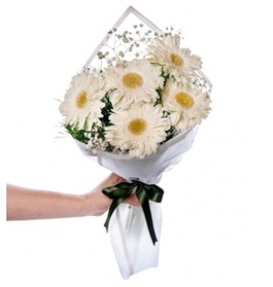 7 beyaz gerbera buketi